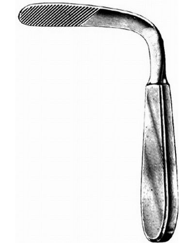 Mouth and Toungh Gag