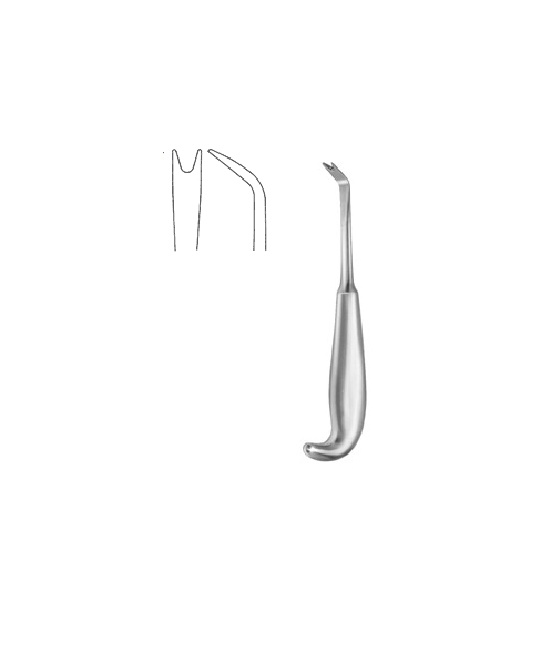 Anterior Border Stripper